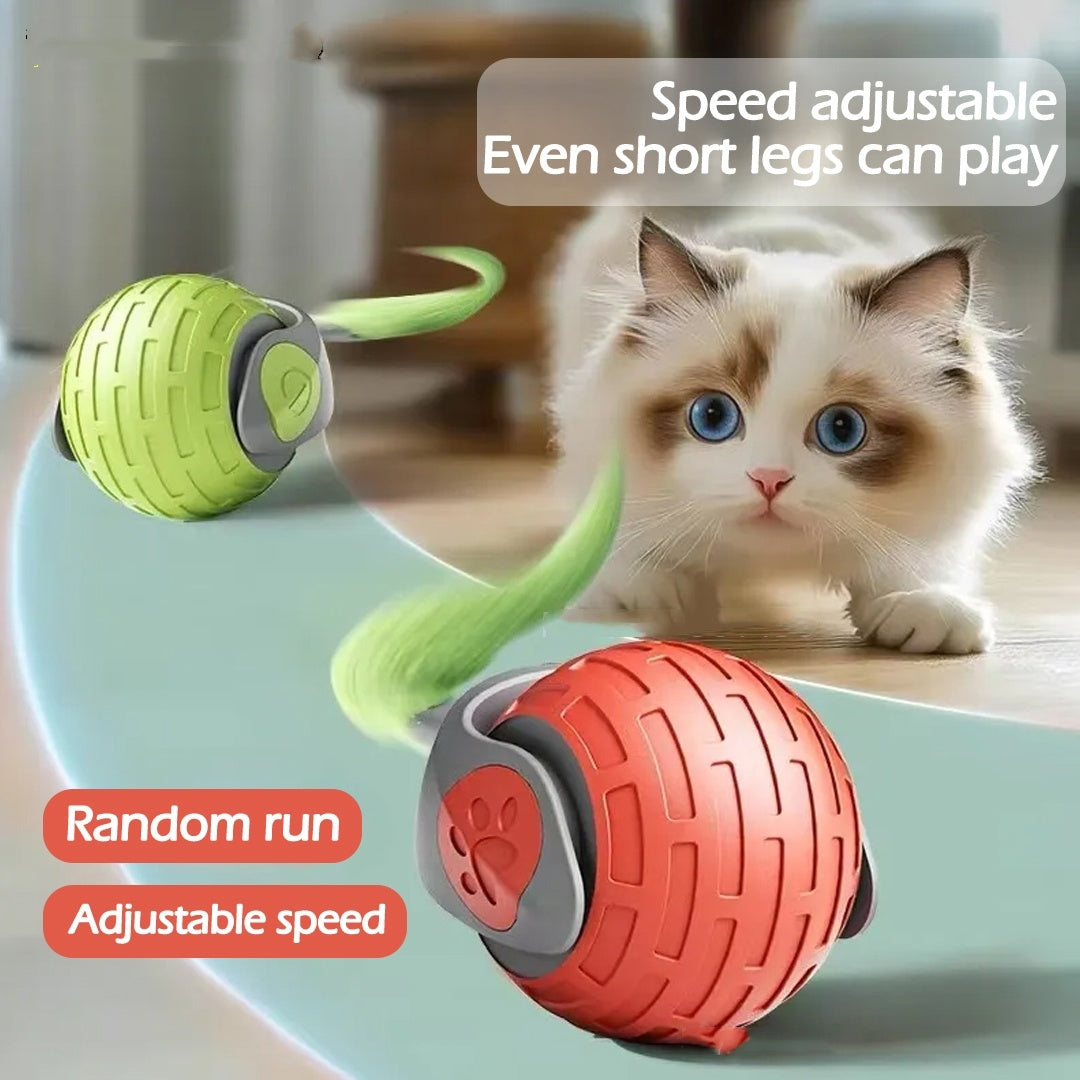 Smart Rolling Cat Ball