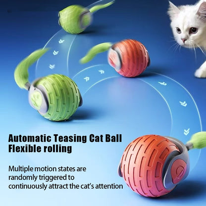 Smart Rolling Cat Ball