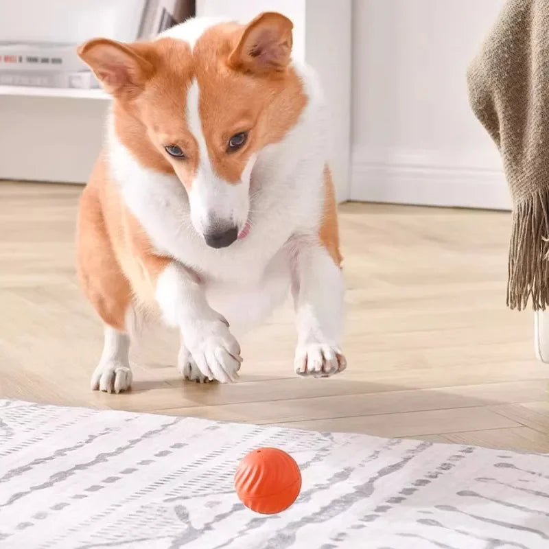 Smart Interactive Dog Ball