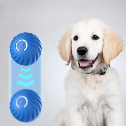 Smart Interactive Dog Ball