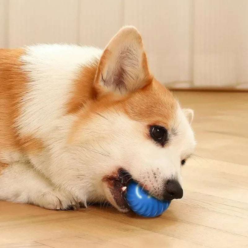 Smart Interactive Dog Ball